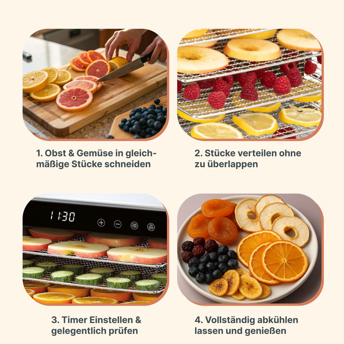 Proficook PC-DR1218 Deshidratador de Alimentos, 6 Bandejas Acero Inoxidable, Temperatura Ajustable 35-75°C, Temporizador 30 min - 24 h, Seca Frutas, Verduras, Carne, Hierbas