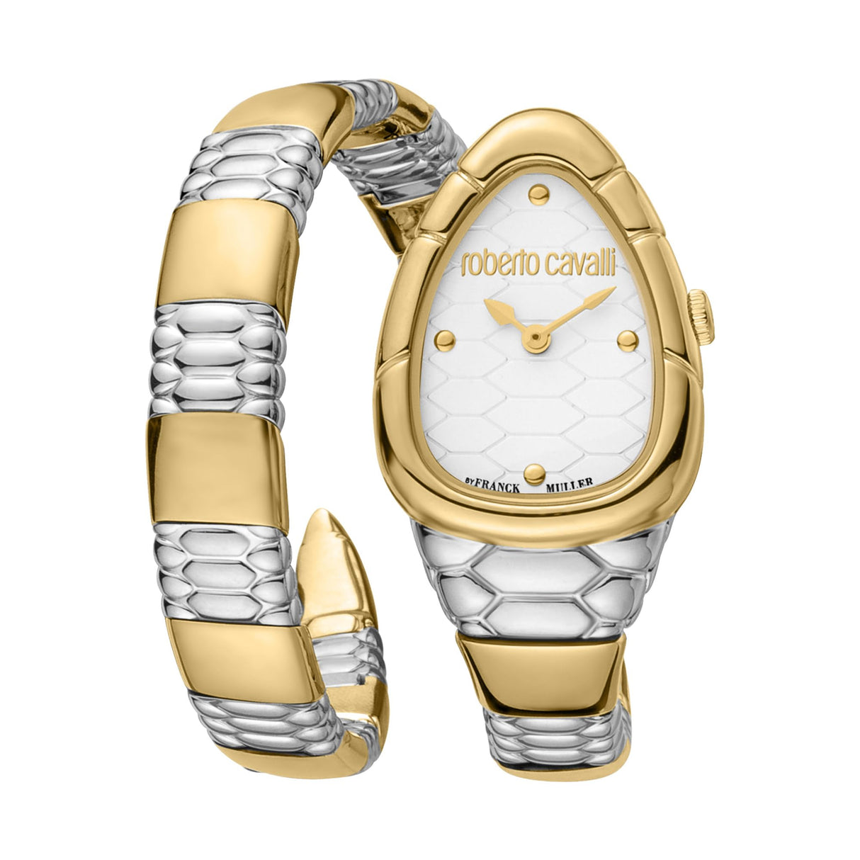 Roberto Cavalli by Franck Muller Reloj Analógico para Mujeres de Cuarzo con Correa en Acero Inoxidable RV1L184M0061