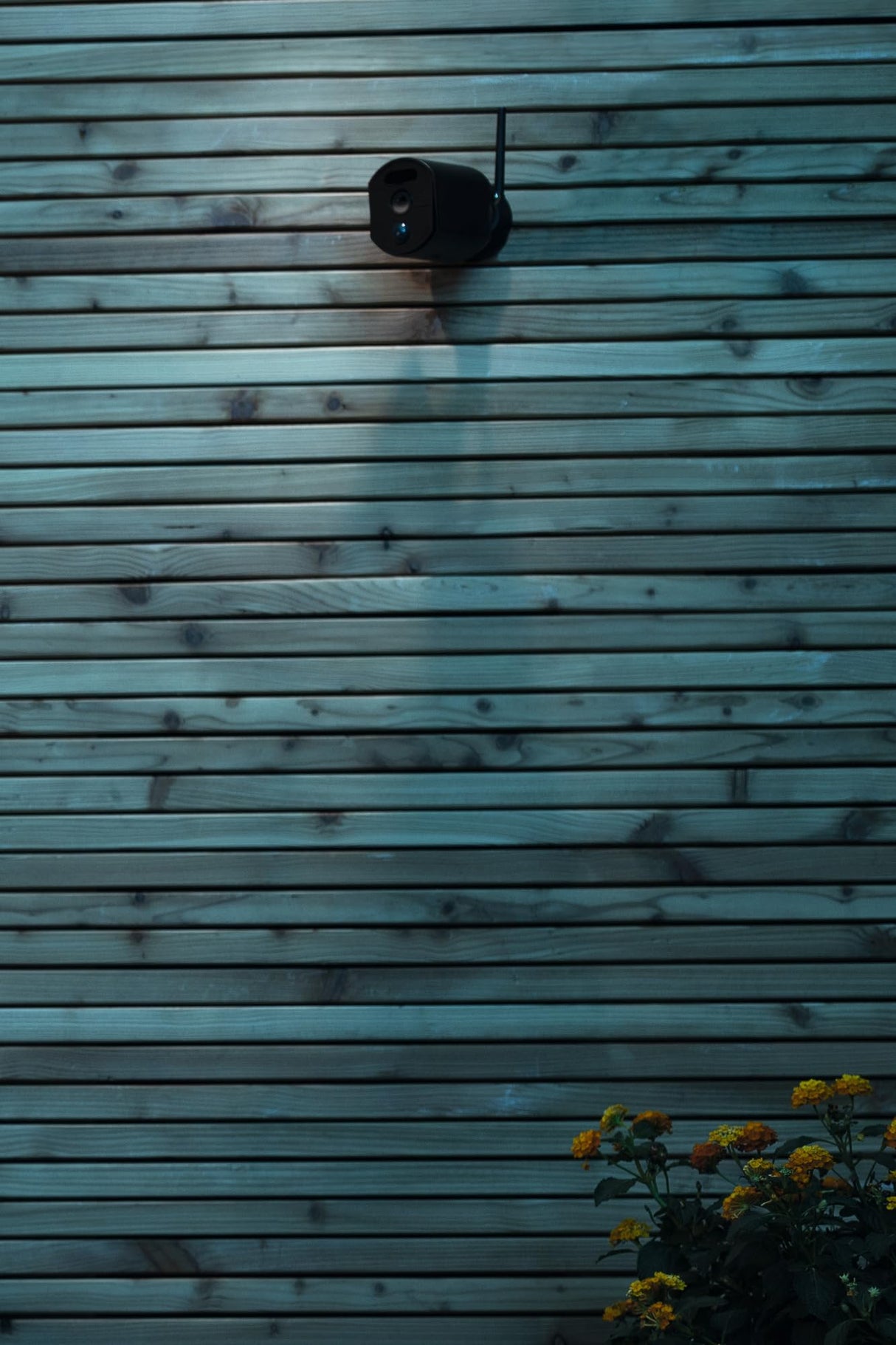 ABUS Cámara de vigilancia EasyLook BasicSet PPDFfunción de intercomunicación, visión nocturna