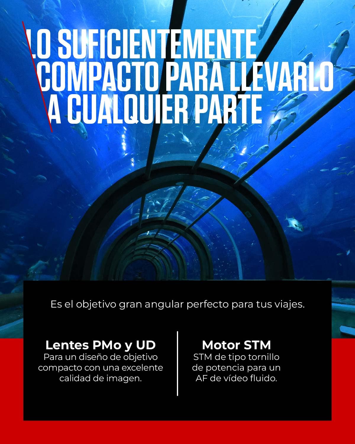 Canon Objetivo RF-S 10-18mm F4.5-6.3 IS STM - Zoom Ultra Gran Angular, Estabilizador Óptico 4 Pasos, Viajes y Arquitectura | Compatible Sistema EOS R