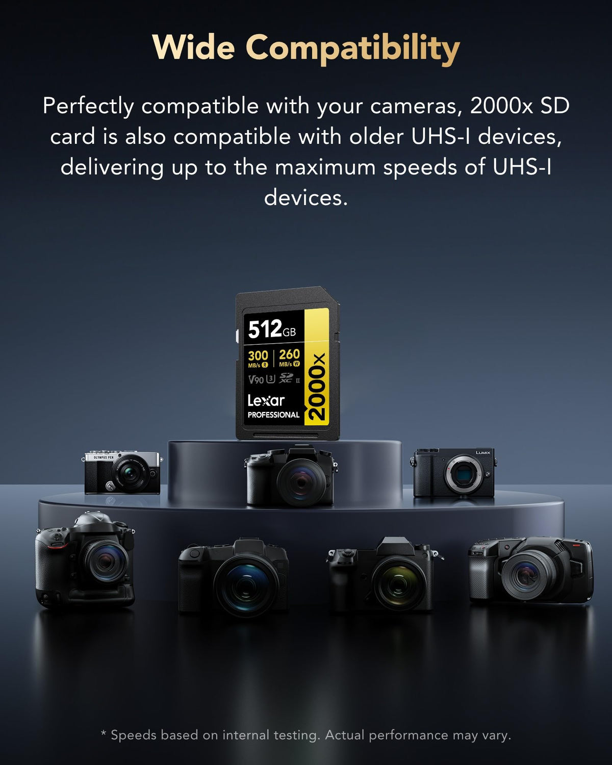 Lexar Profesional 2000x Tarjeta SD de 512 GB, SDXC UHS-II sin Lector, hasta 300 MB/s de reproducción, para DSLR, cámaras de vídeo en Calidad de Cine