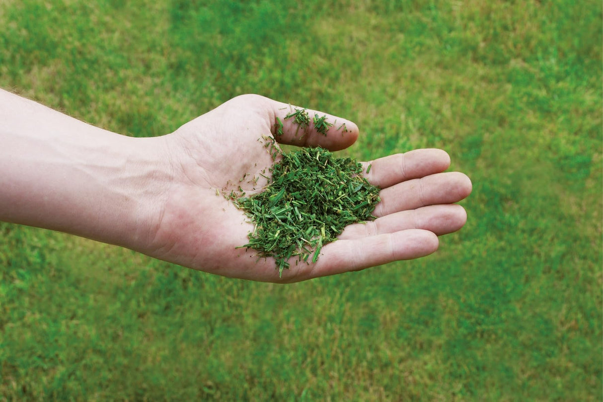 Einhell Cortacésped con batería GE-CM 36/43 Li M Power X-Change (iones de litio, tecnología TWIN-PACK, Highwheeler, incl. 2 baterías PXC 4,0 Ah y 2 cargadores rápidos)