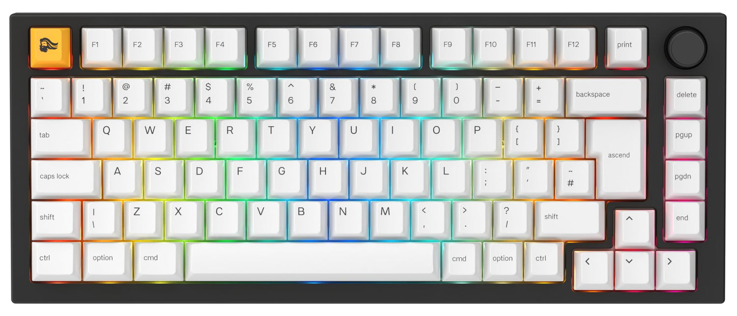 Glorious Gaming GMMK PRO 75% - Teclado gaming mecánico modular, TKL, carcasa de 1,5 kg, personalizable, cable espiral, reposamuñecas, keycaps blancas, RGB, distribuciones QWERTY inglés - Negro