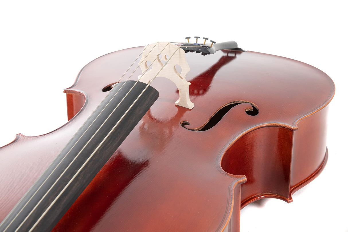 PURE GEWA Set violonchelo ébano 4/4 con funda y arco