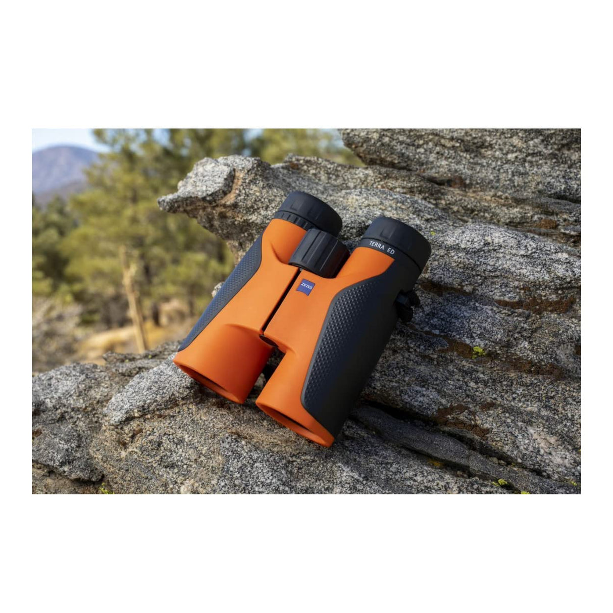 Zeiss Terra ED - Prismáticos de 8 x 42 Pulgadas, edición Limitada, Color Negro y Naranja