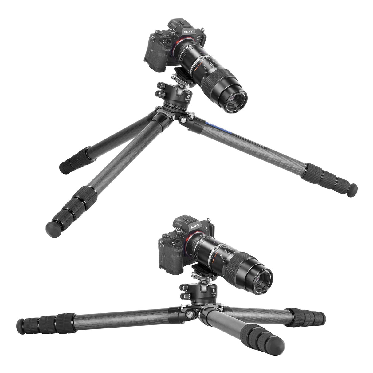 Leofoto - Ranger - Trípode de Carbono con Cabeza de Bola - Sistema Twist-Lock- Patas Ajustables en 3 ángulos - Ideal para fotografía Macro - LS-324C+LH-40PCL