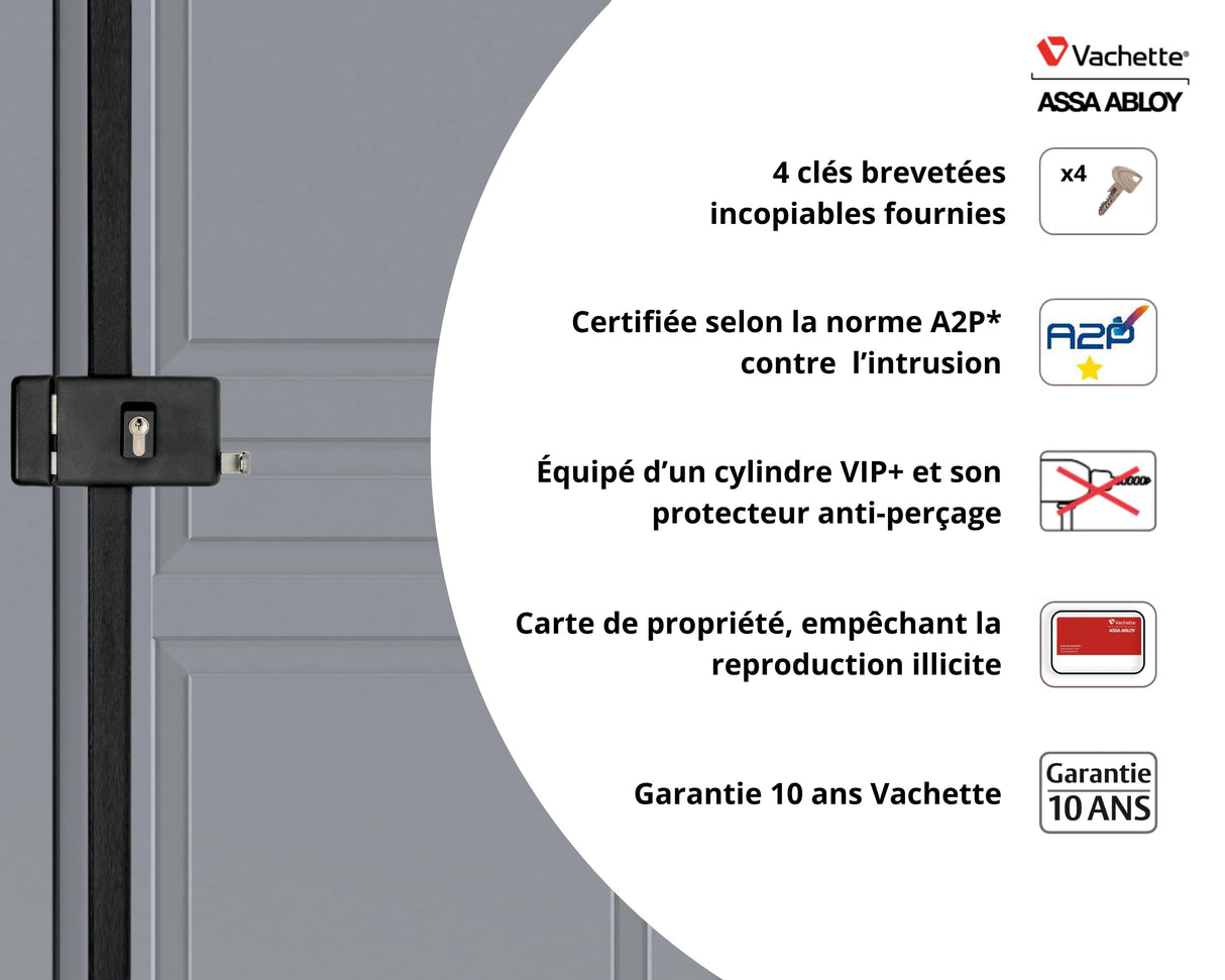 Vachette - Cerradura de aplique multipunto horizontal con tirada múltiple serie 8800, tiro izquierdo, certificado A2P*, alta seguridad, 3 puntos de cierre, 4 llaves VIP+ patentadas incluidas, gris