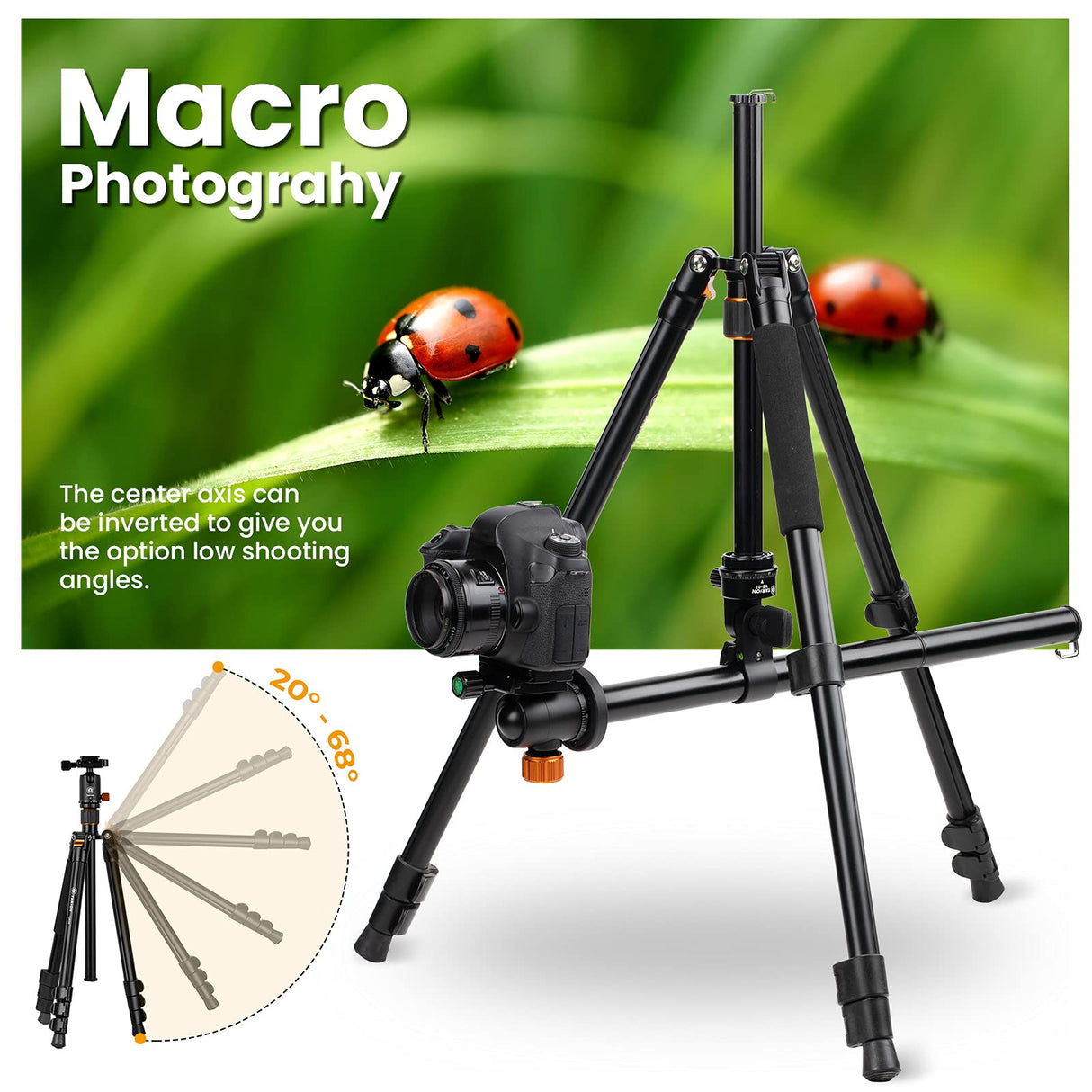 TARION Q550 Trípode Cámara y Brazo Extensión Columna Central con rotación Horizontal 360°y Vertical 180°y Sacos de Arena MAX 155 cm Carga 6 kg para Viajar Foto
