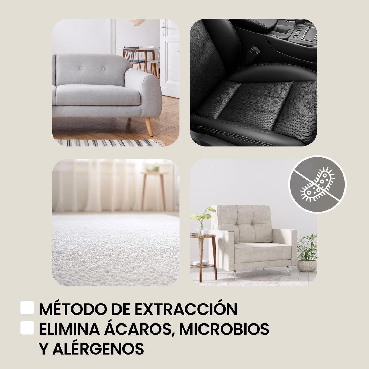 Zeegma ZONDER Pro Aqua Aspirador en seco y húmedo 1400 W, para Alfombras Coche Tapicería Escaleras, Depósito de Agua Limpia de 4 L, Juego de Filtros y Boquillas de Lavado