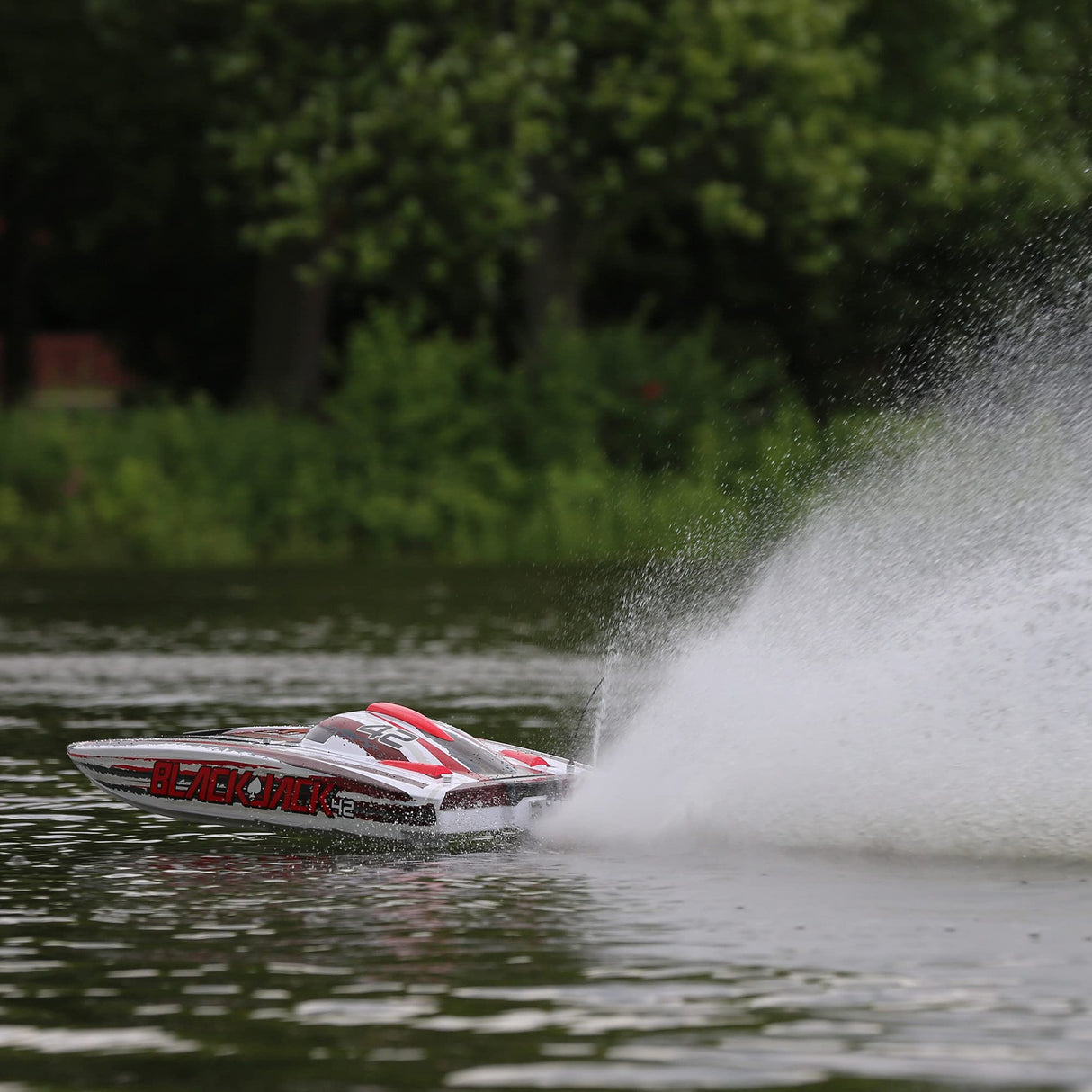 Proboat Blackjack 42-Inch Brushless 8S Cat,Wht/Red:RTR, Multi