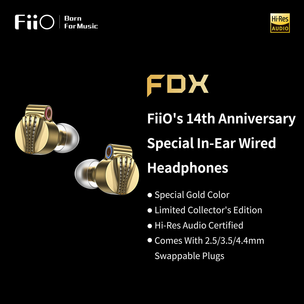 FiiO FDX In-Ear Driver dinámico con diafragma de berilio Puro (Edición Especial 14° Aniversario)