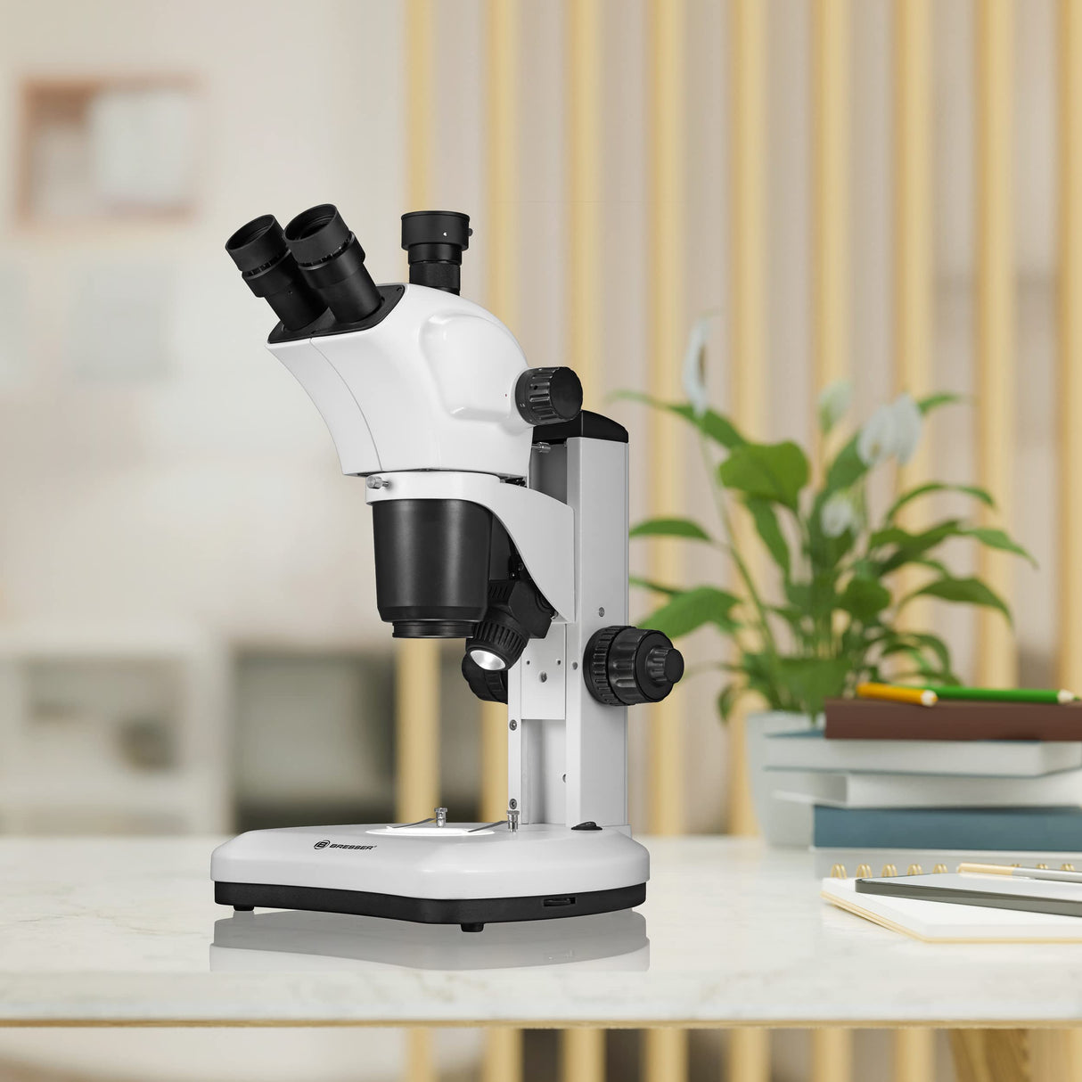 Bresser Science ETD-301 - Microscopio estéreo (7-63x, Gran Distancia de Trabajo (100 mm) y Conector para cámara)