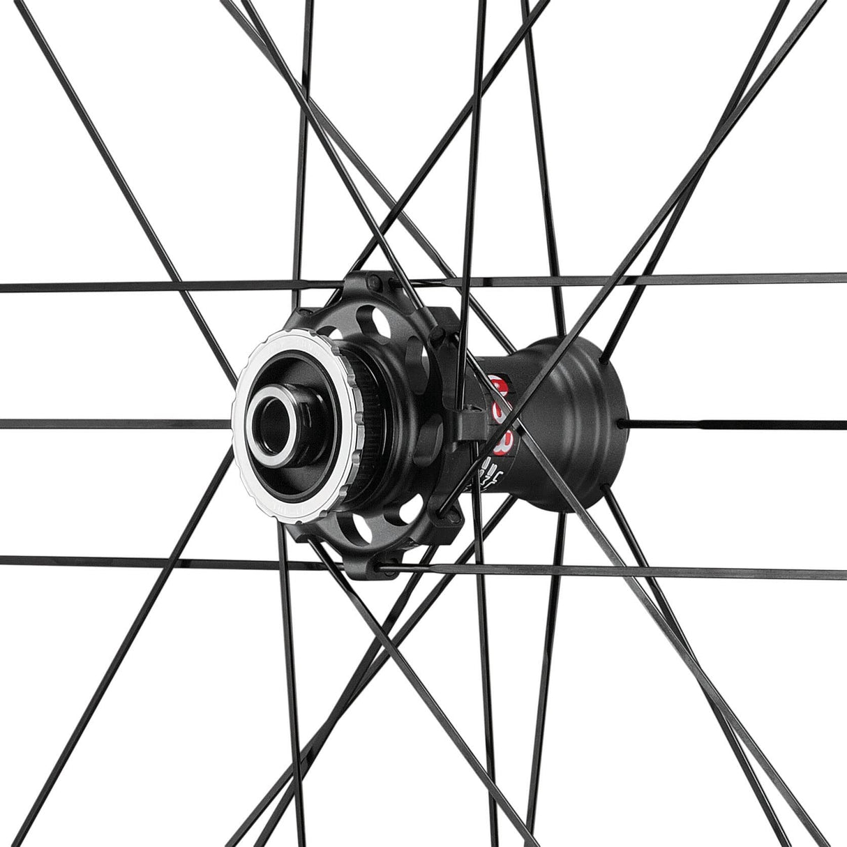 Campagnolo Bora One 50 Rueda de neumático, Adultos Unisex, Bright Label, Talla única