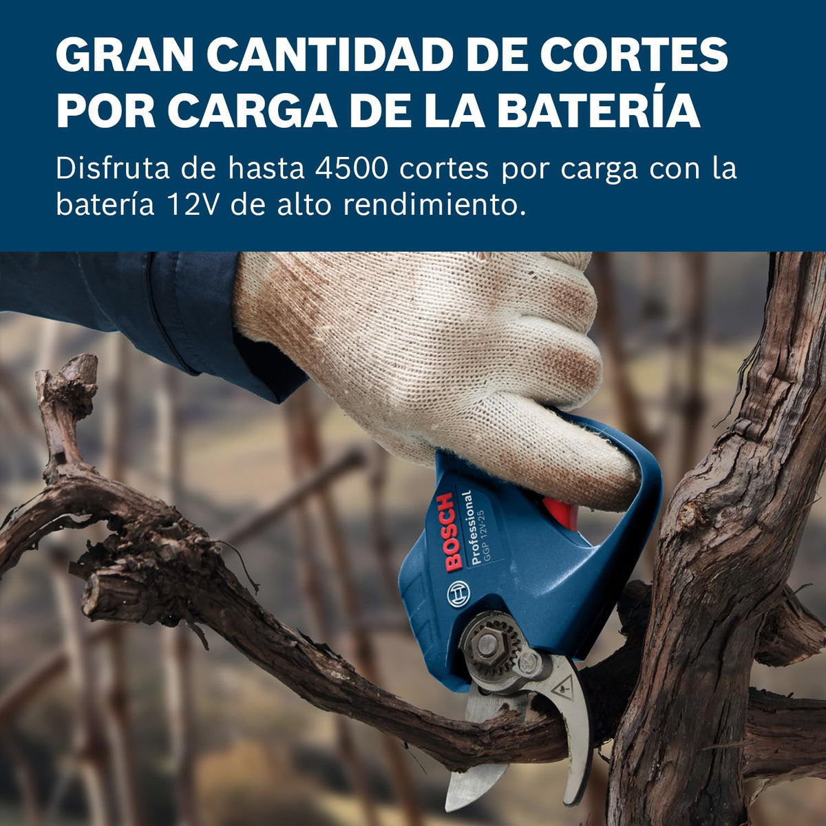 Bosch Professional 12V System GGP 12V-25 podadora (hasta 4500 cortes por carga, motor Brushless sin escobillas, cortes de 25 mm, con 2 baterías de 3,0 Ah)
