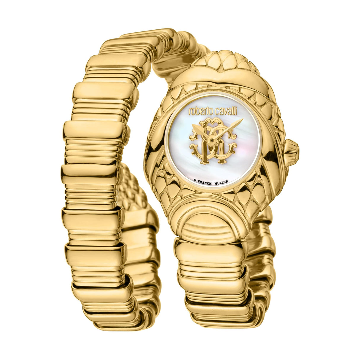 Roberto Cavalli by Franck Muller Reloj Analógico para Mujeres de Cuarzo con Correa en Acero Inoxidable RV1L162M0021