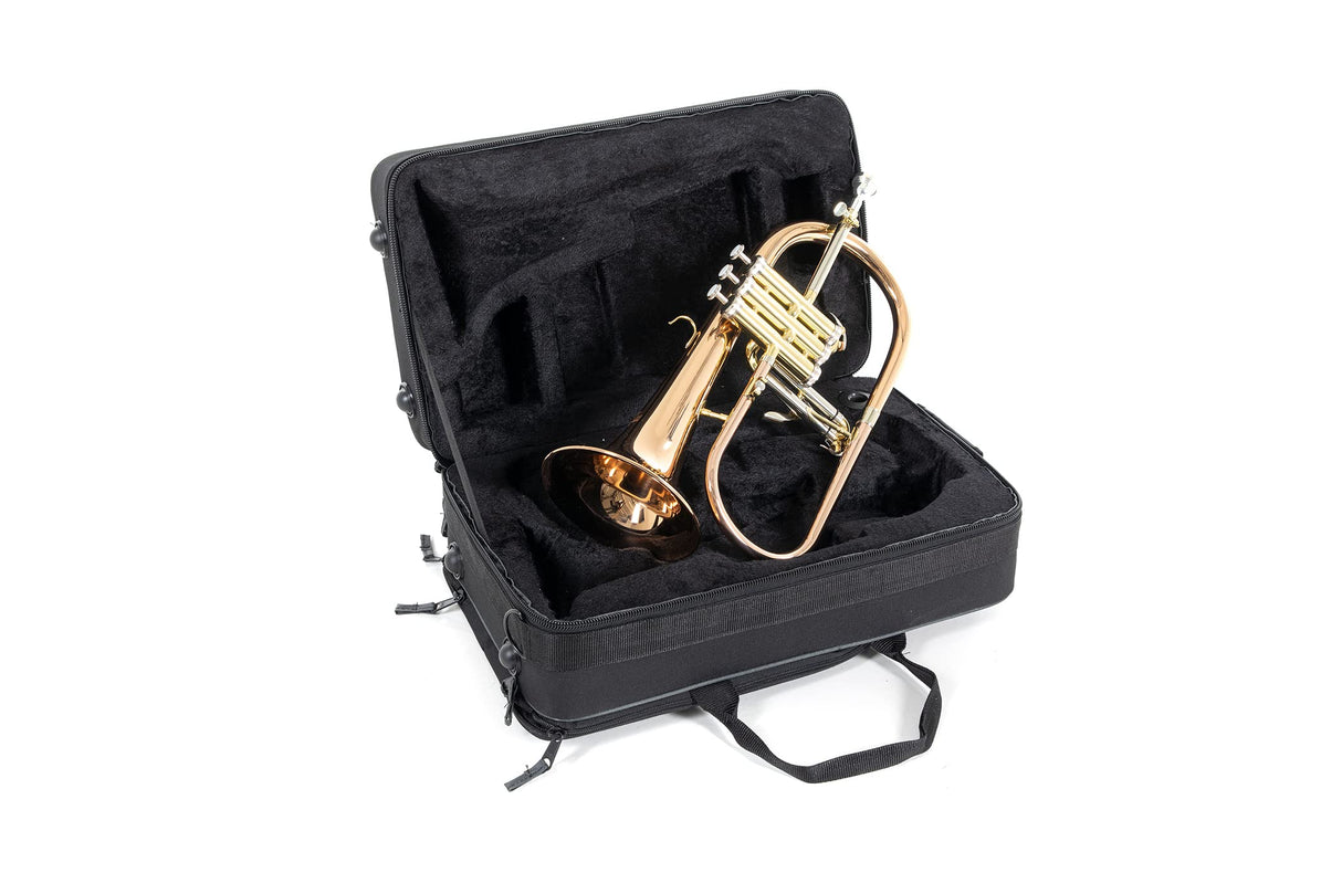 Roy Benson Fliscorno en Sib FH-302G (con orificio MS de 11 mm, campana de latón dorado, válvulas de acero inoxidable, incl. estuche rectangular ligero, con función de mochila, tamaño: 6"), lacado