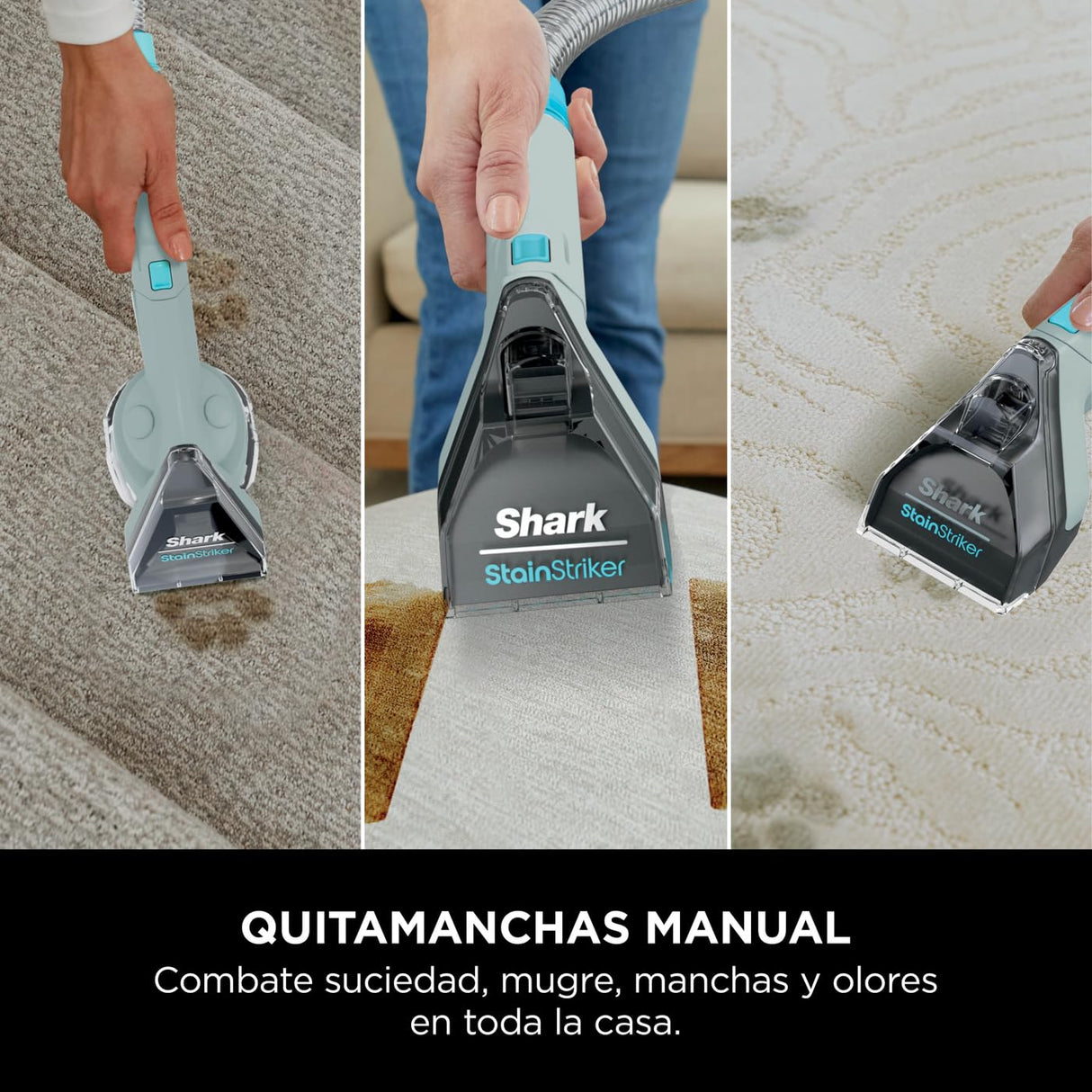 Shark StainStriker Limpiador de manchas con 5 accesorios, minicepillo para pelo de mascotas, boquilla estrecha, tubo de limpieza, 2 soluciones de limpieza incluidas, 450W, ligero, Gris, PX200EUCP