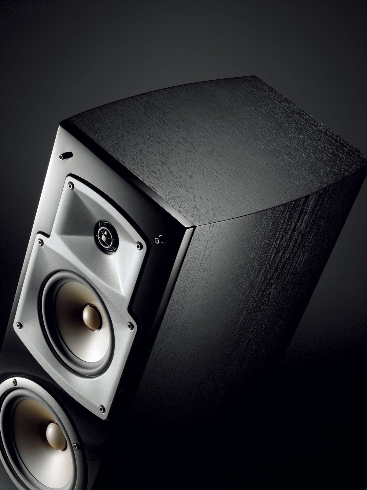 Yamaha Elektronics Europa NS-F350 - Altavoz de pie
