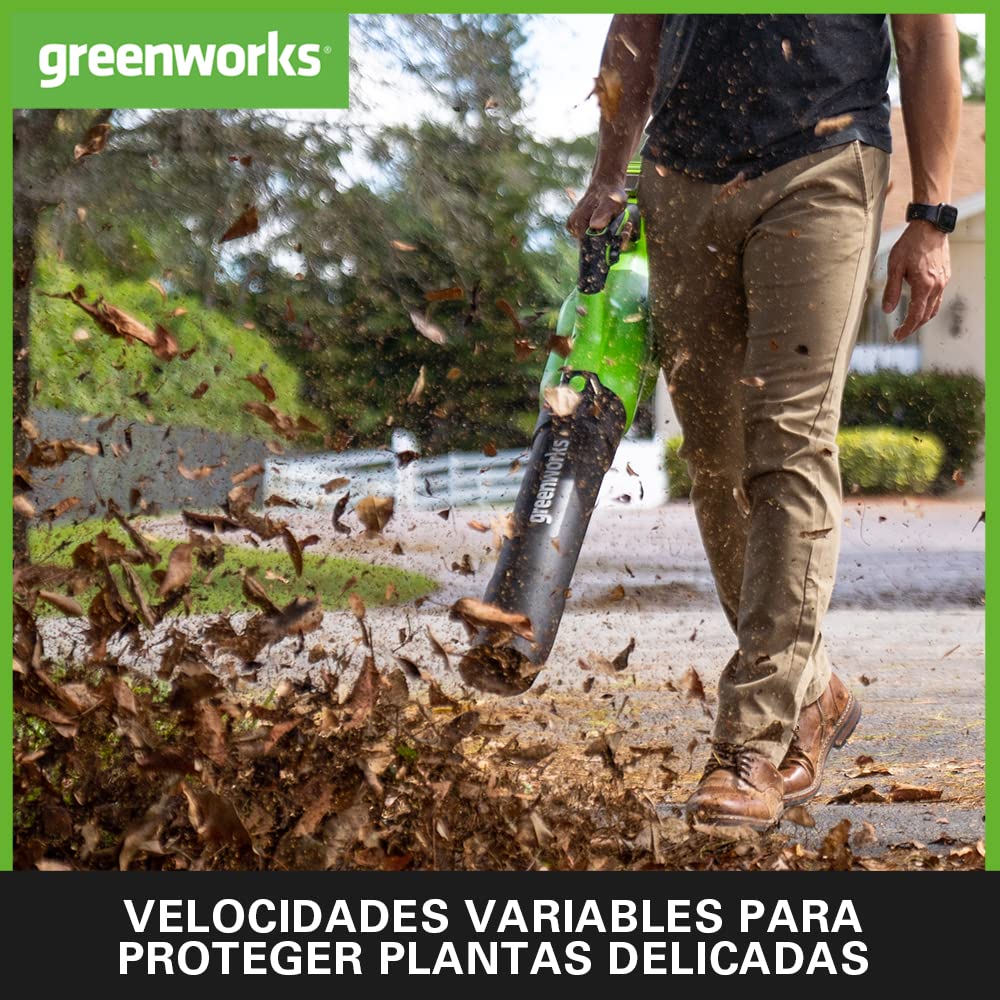 Greenworks GD40ABK2X Soplador de Hojas a Batería Axial con Motor sin Escobillas, 210 km/h, 15,6 m³/min, Dos Baterías de 40V 2Ah y Cargador, Garantía de 3 Años