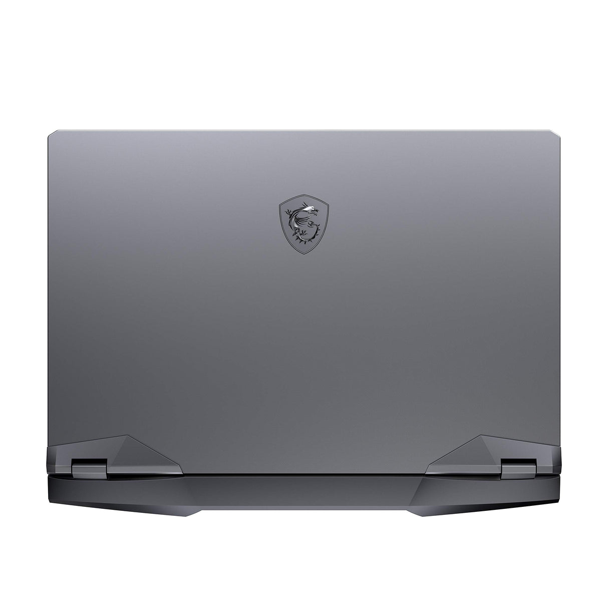 MSI GE66 Raider 10UE-215FR