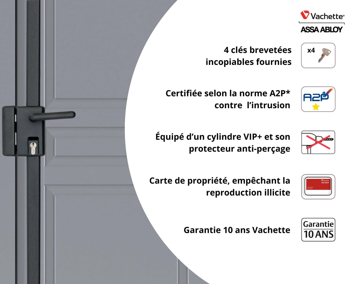 Vachette - Cerradura de aplique multipunto, vertical con asa, multiblinde serie 8800, tiro izquierdo, certificado A2P, alta seguridad, 3 puntos de cierre, 4 llaves VIP+ patentadas incluidas, gris