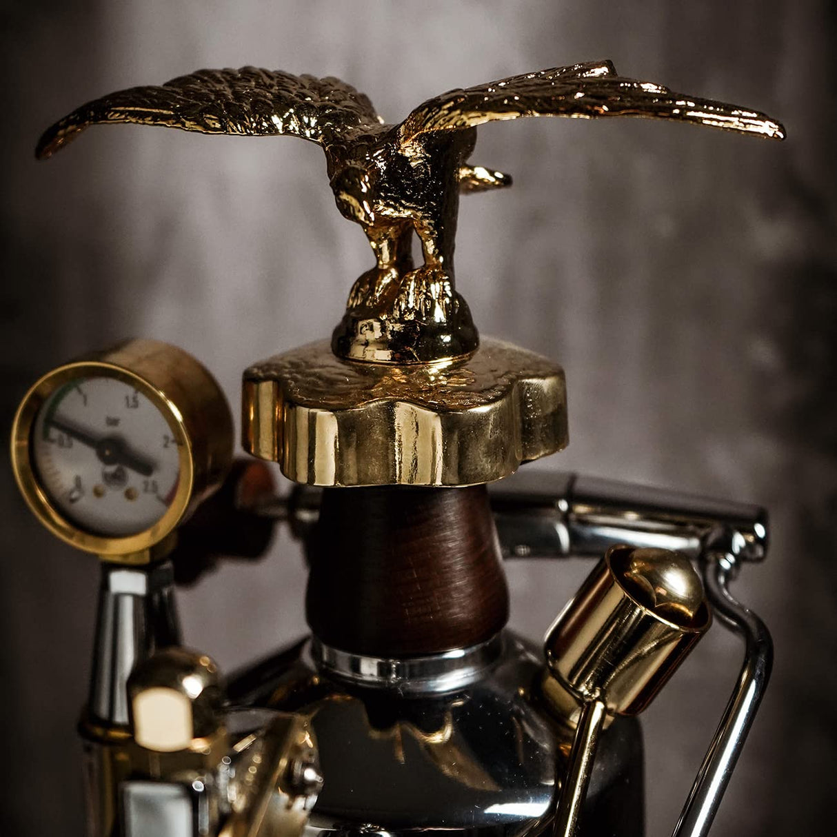La Pavoni LPLEXP01EU, Maquina de espresso Expo 2015, Chrome/or