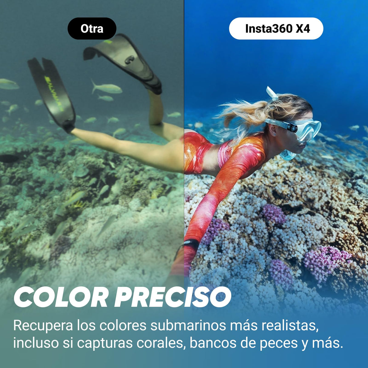 Insta360 X4 Paquete Invisible de Buceo - Cámara de acción Impermeable 8K 360, Vídeo 4K Gran Angular, Selfie Stick Invisible, Protectores de Lente Extraíbles, 135 Min Batería, Edición IA