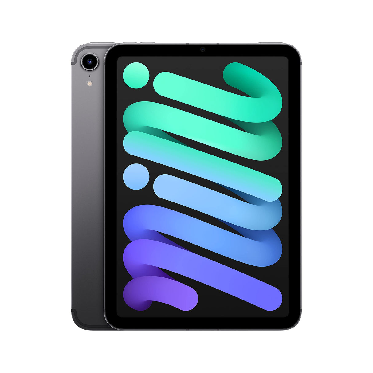 Apple 2021 iPad Mini (de 8,3 Pulgadas con Wi-Fi + Cellular, 256 GB) - Gris Espacial (6.ª generación)