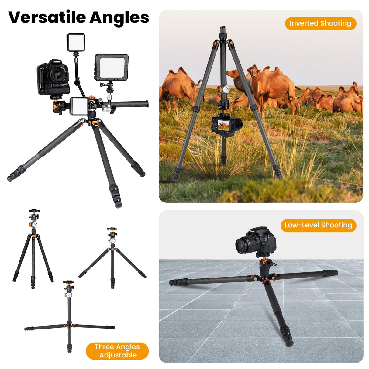 TARION Trípode de Fibra de Carbono para cámara de - 67 Pulgadas trípode Profesional DSLR con Doble rótula panorámica Zapata fría trípode de Viaje para cámaras videocámaras fotografía