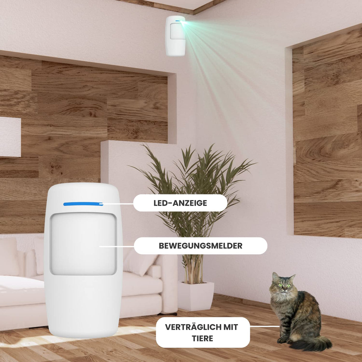 Daewoo - Kit de Alarma AM301, Central de Pantalla táctil, Detector de Movimiento Apto para Animales, contactores de Puerta y mandos a Distancia, Control Remoto Seguro