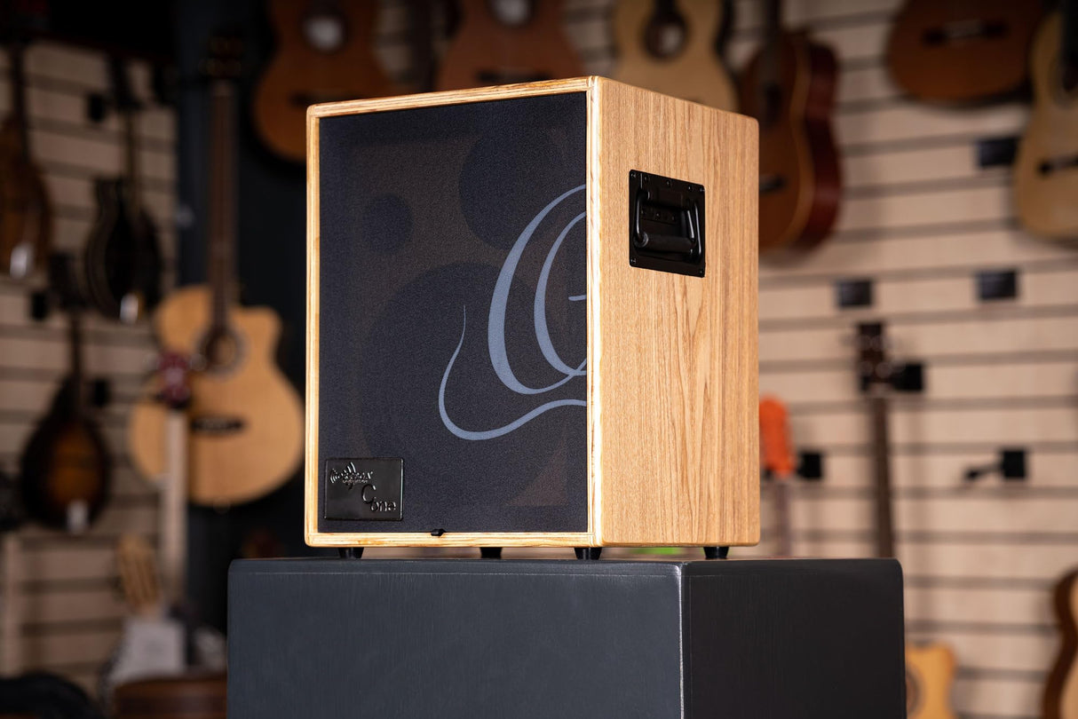 Ortega Guitars Amplificador de Guitarra - 100 W - Acoustic Combo - Accesorios de Instrumentos musicales, Natural (CONE-ASH)