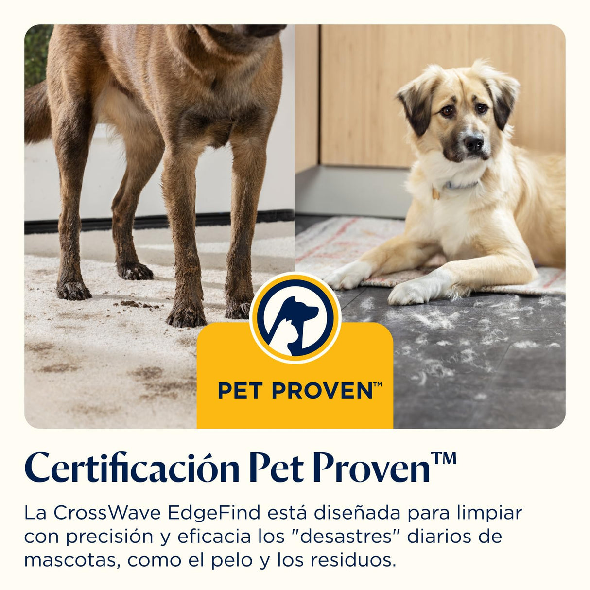 BISSELL CrossWave EdgeFind, aspirador de mano en seco y húmedo, limpieza potente de suciedad de mascotas, aspiradora en húmedo con tecnología ZeroGap, aspiradora para fregar, multisuperficie, 4159N