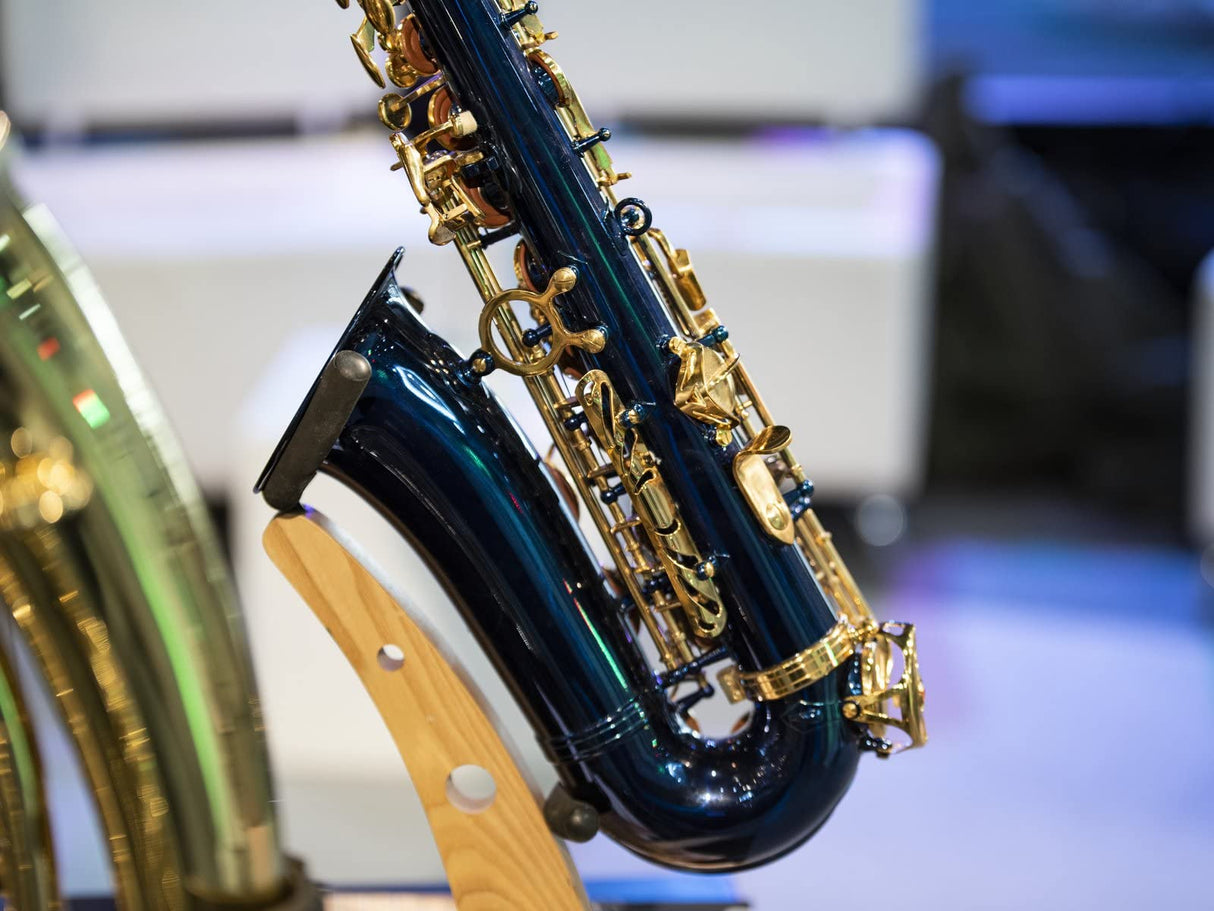 26502370 DIMAVERY SP – 30 EB Alto saxophone-blue