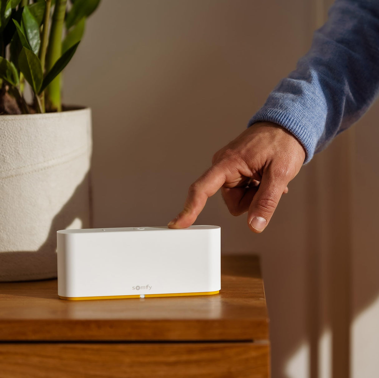 Somfy 1870595 - TaHoma switch - Control inteligente para centralizar y conectar tu vivienda, Color Blanco
