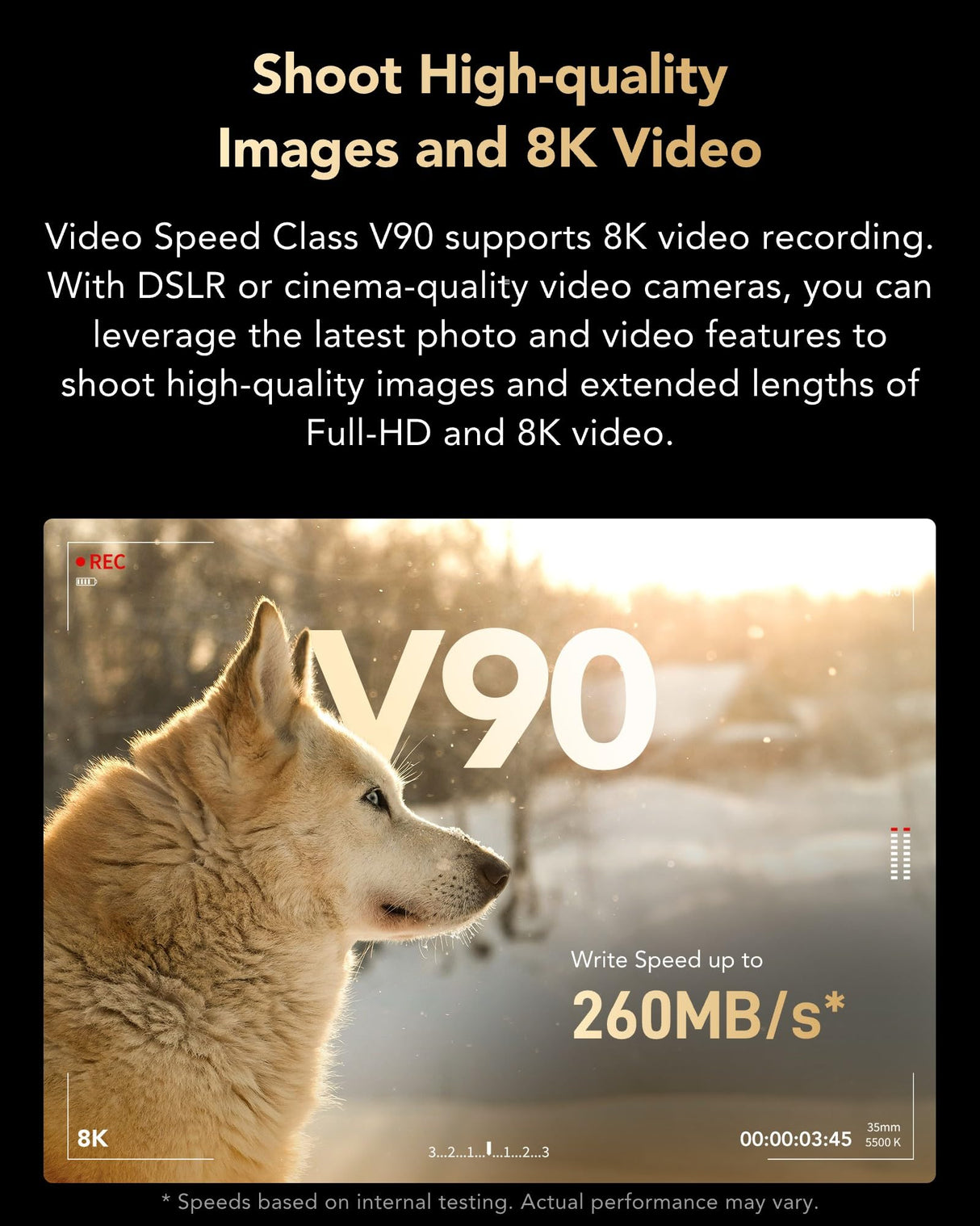 Lexar Profesional 2000x Tarjeta SD de 512 GB, SDXC UHS-II sin Lector, hasta 300 MB/s de reproducción, para DSLR, cámaras de vídeo en Calidad de Cine