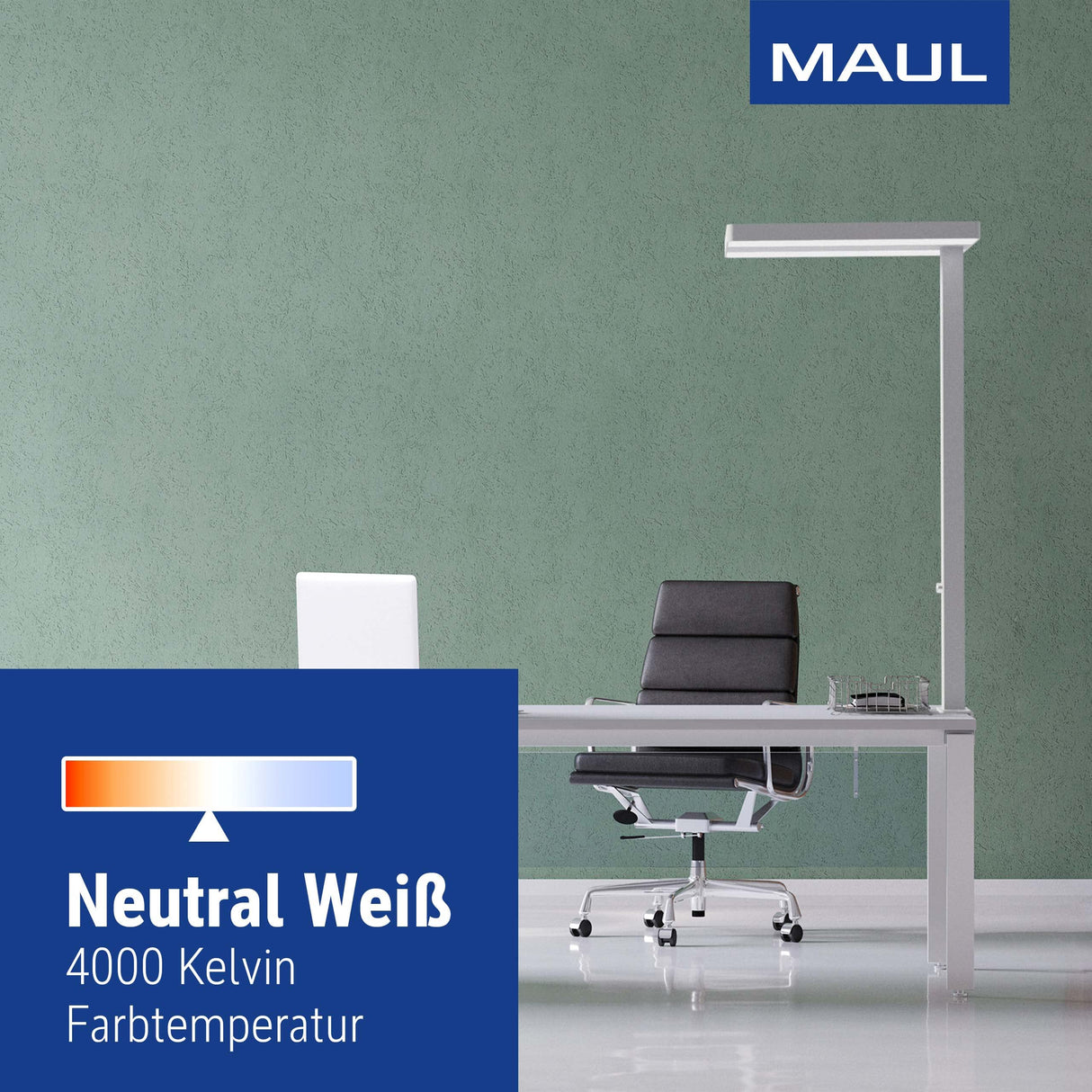 MAUL MAULjaval-Pinza para Mesa, 48 W, Plata, Klemmfuß