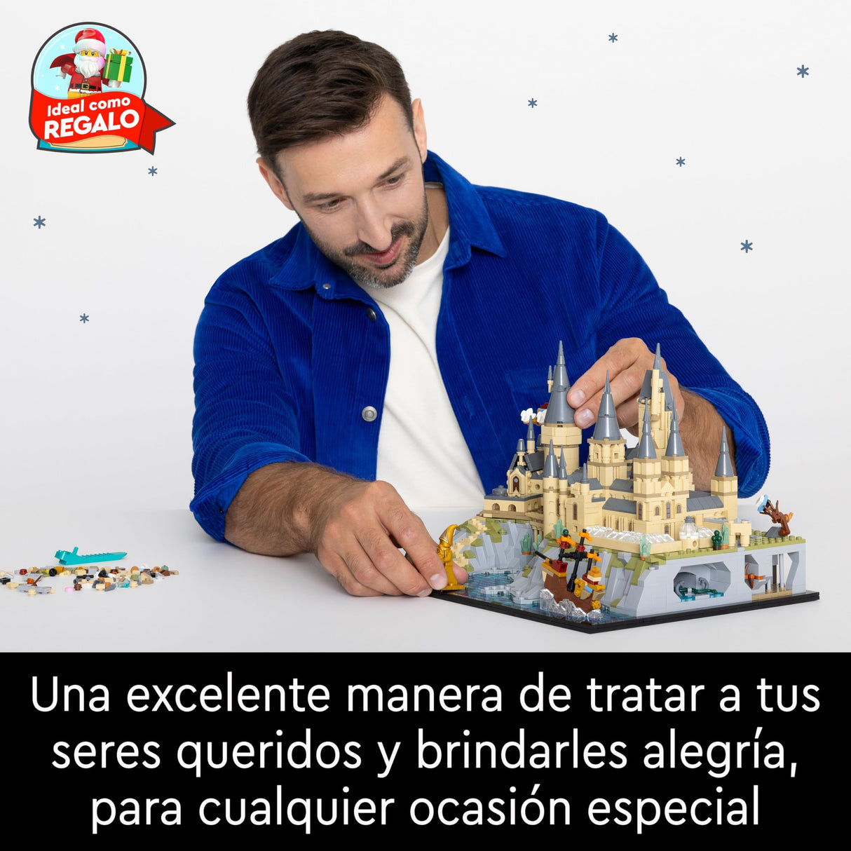 LEGO 76419 Harry Potter Castillo y Terrenos de Hogwarts, Set con Lugares Emblemáticos: Torre de Astronomía, Gran Comedor, Cámara de los Secretos y más, Maqueta de Exposición para Fans Adultos