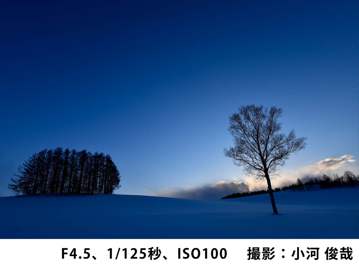 Tokina Opera 16-28mm f2.8 Full Frame