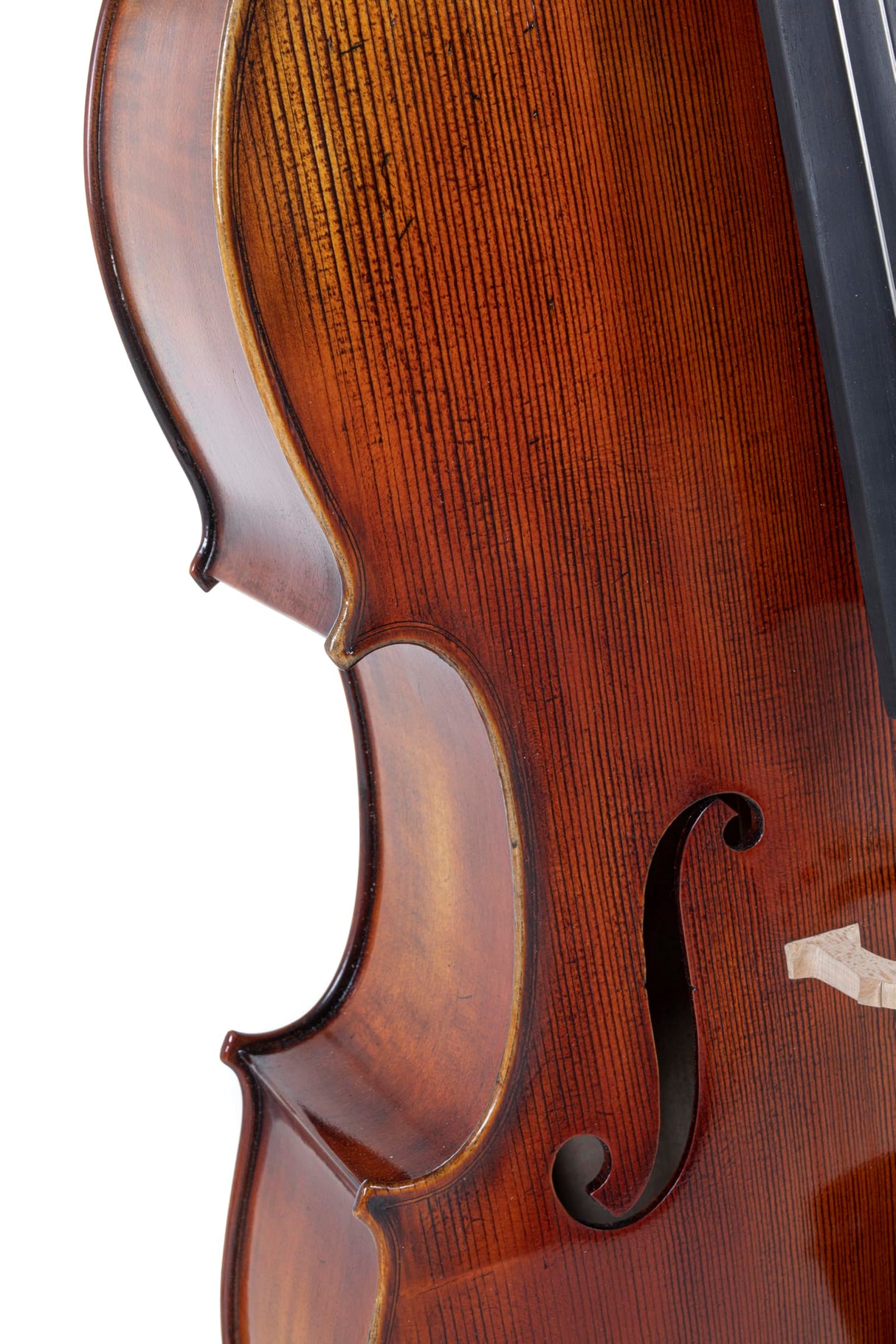 GEWA violonchelo, juego de violonchelos serie Maestro 2 VC4-3/4 listo para tocar incl. bolsa, arco de carbono y cuerdas Larsen Aurora