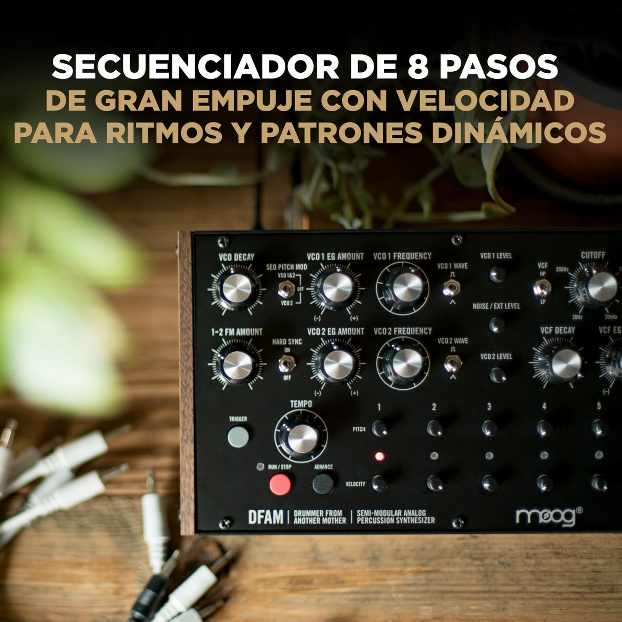 MOOG DFAM - sintetizador de percusión analógico semimodular con secuenciador de 8 pasos y bahía de parcheo de 24 puntos