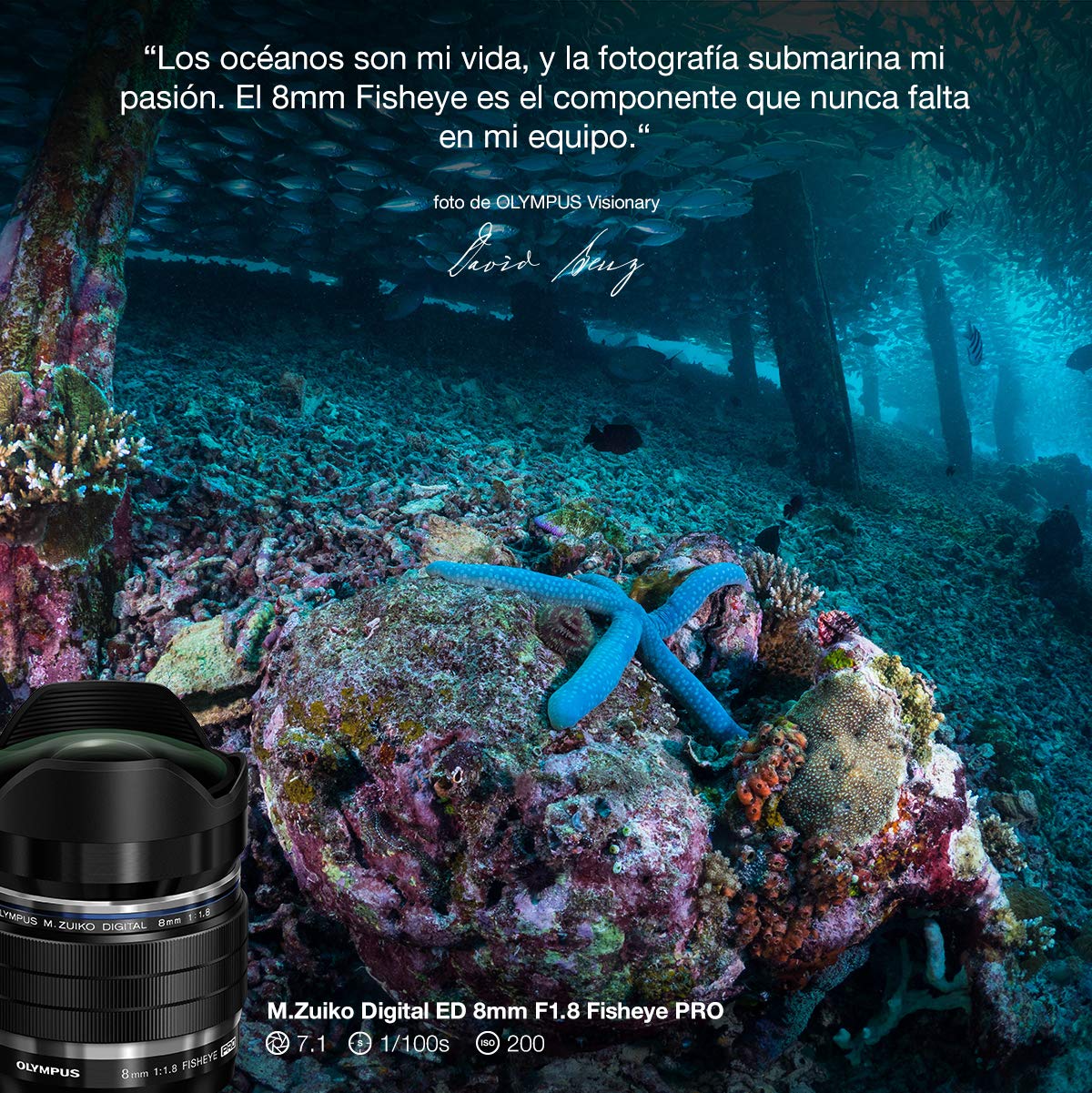 Olympus Objetivo - M.Zuiko Digital ED 8 mm F1.8 Pro, Longitud Focal Fija rápida, Apto para Todas Las Cámaras MFT, Modelos Olympus OM-D & Pen, Serie G de Panasonic, Negro