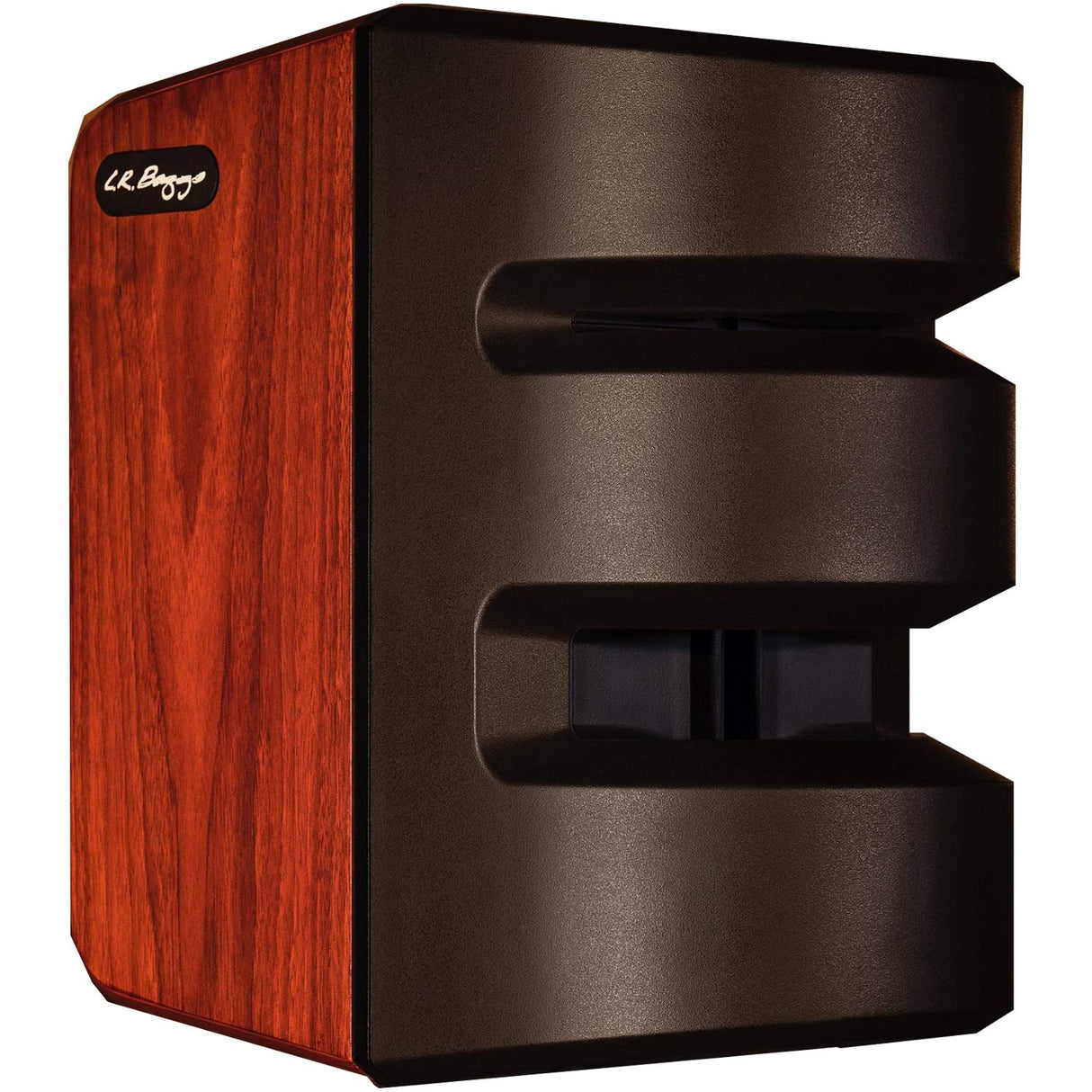 L.R. Baggs Synapse Personal PA - Amplificador acústico (2 Canales, 500 W)