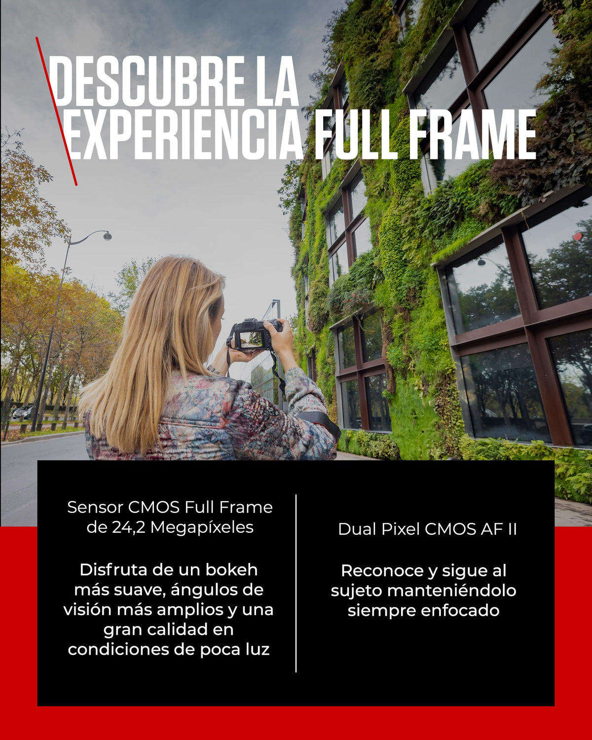 CANON EOS R8 Cámara Mirrorless + Objetivo RF 24-50 mm F4.5-6.3 IS STM + 2X Baterías (Kit de Batería Adicional), Cámara Evil Full Frame (24,2 MP) -6.5 EV, Vídeo 4K 60 fps, Dual Pixel CMOS AF II, Negro