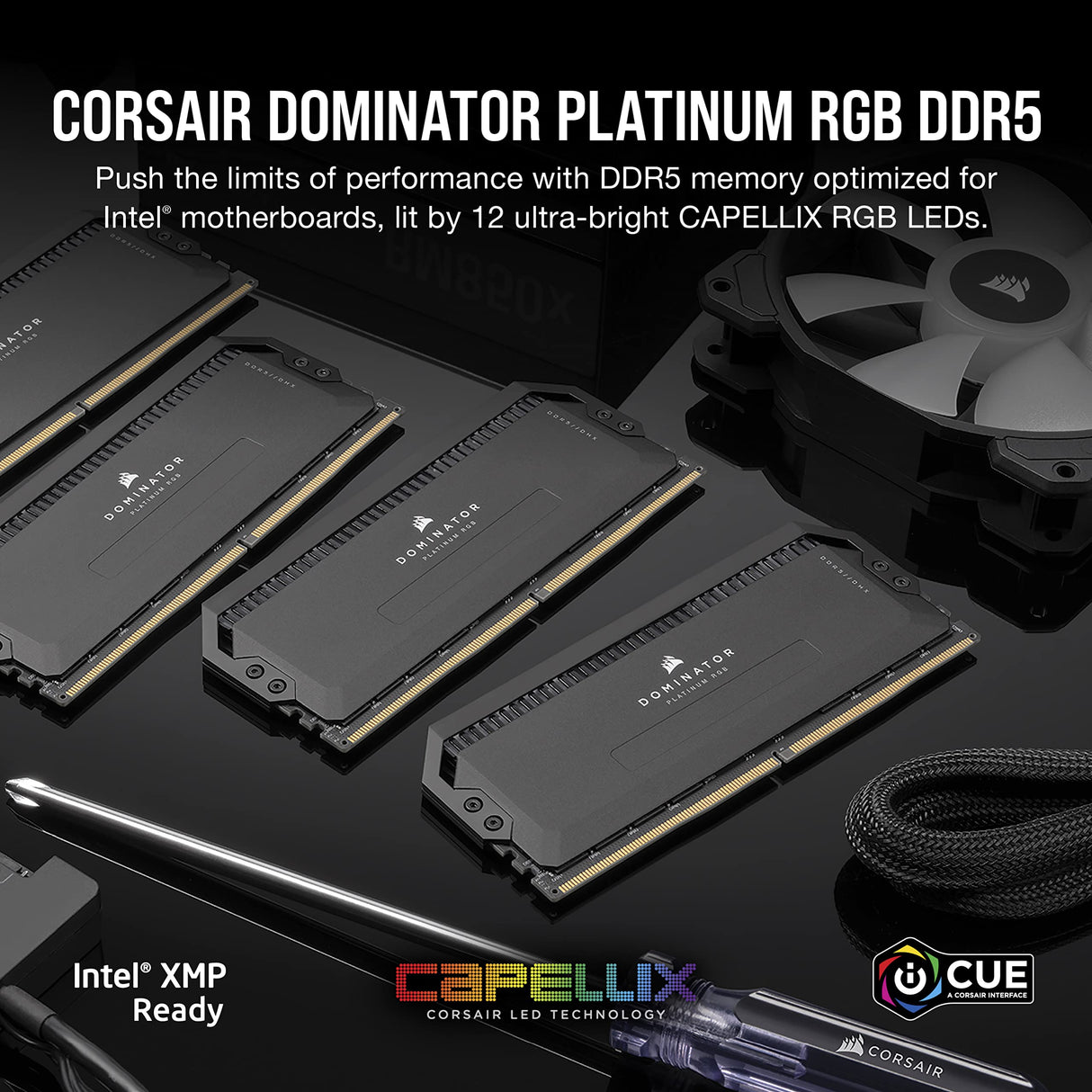 Corsair Dominator Platinum RGB DDR5 32GB (2x16GB) 6400MHz C32 Optimizada para Intel Memoria (Regulación de Tensión, Refrigeración CORSAIR DHX Patentada, 12 Leds CAPELLIX RGB Ultrabrillantes) Negro