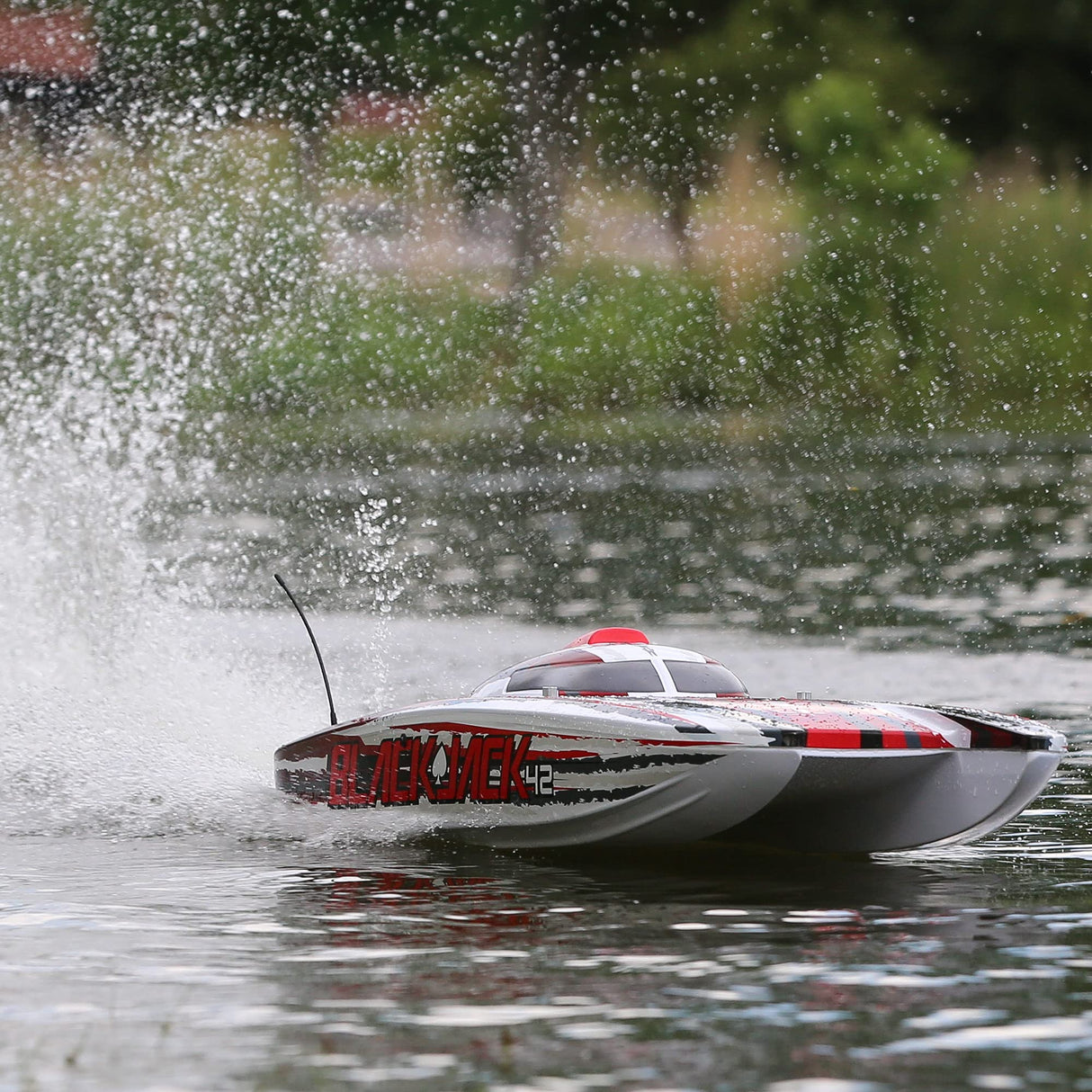 Proboat Blackjack 42-Inch Brushless 8S Cat,Wht/Red:RTR, Multi