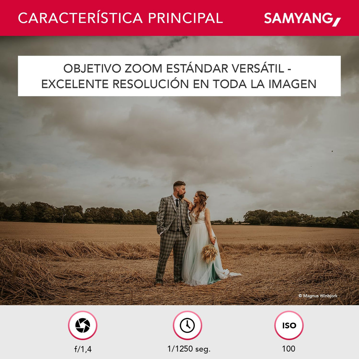 SAMYANG AF 24-70 mm F2,8 FE con estación de Lente para Sony E – Enfoque automático de Formato Completo y Objetivo APS-C 24-70 mm Zoom F 2.8 para cámaras Sony Alpha A7 A9 A1 A7C A6000 Series