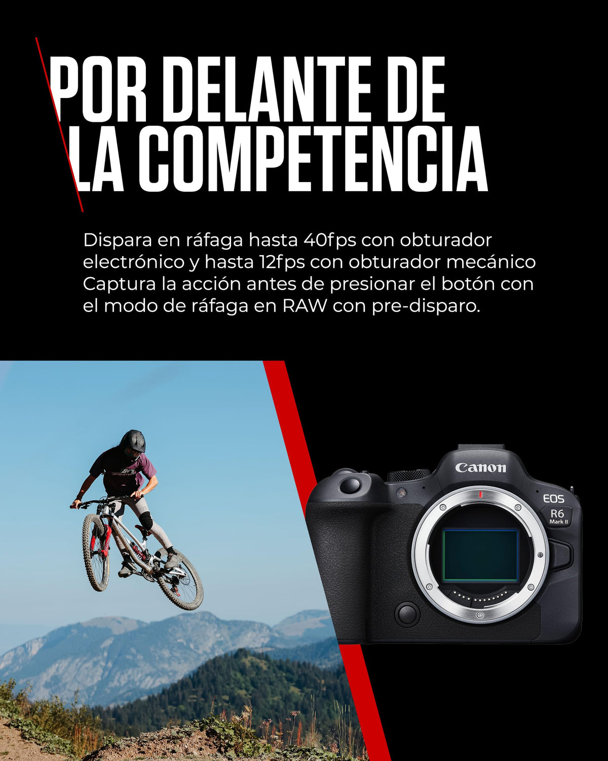 Canon EOS R6 Mark II | Cámara Mirrorless Full Frame | 24,2 MP, 40 fps, Vídeo 4K, Dual Pixel AF II, Wi-Fi y Bluetooth | Cámara para Baja Iluminación | + RF 24 105mm f 4 7.1 IS STM