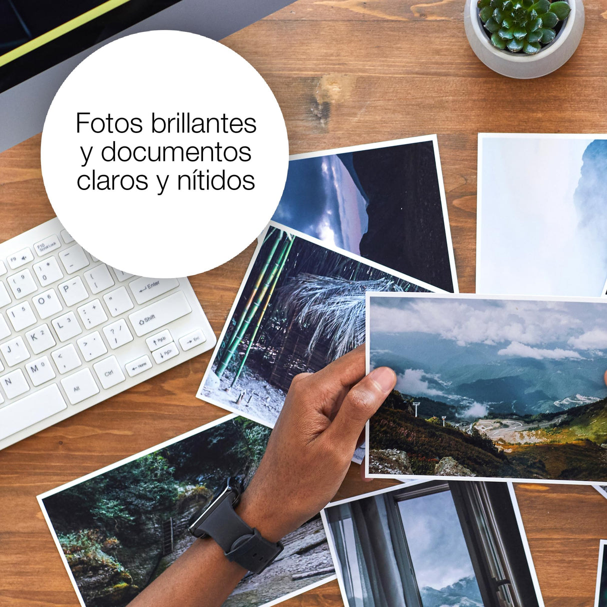 Epson C13T33574011- Cartucho de tinta para impresora, Multicolor, Paquete de 5, Ya disponible en Amazon Dash Replenishment, XL