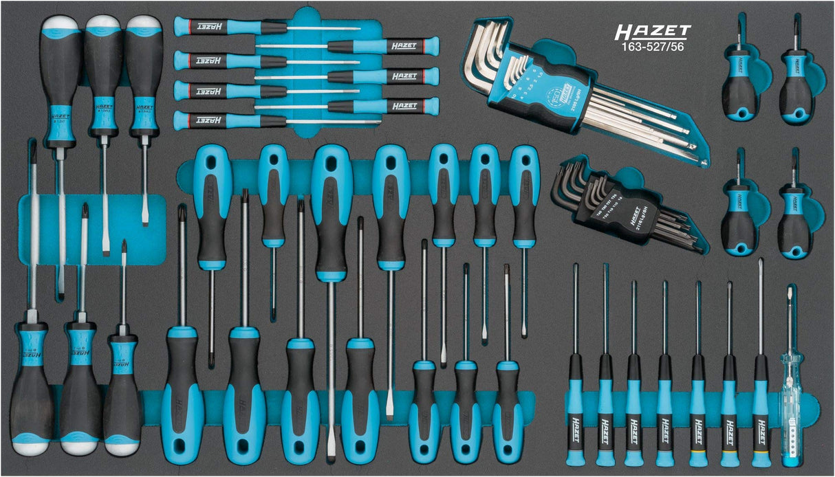 HAZET Juego de destornilladores (56 piezas, perfil ranurado, perfil Phillips PH, perfil interior TORX®, perfil hexagonal interior) 163-527/56
