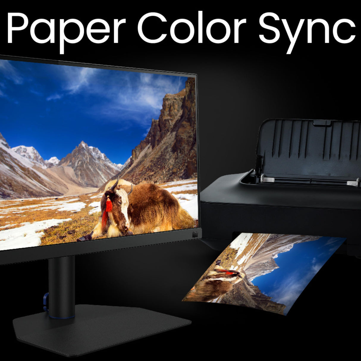 BenQ SW272Q Monitor para edición fotográfica 2K de 27 Pulgadas USB-C 90 W 99% Adobe RGB